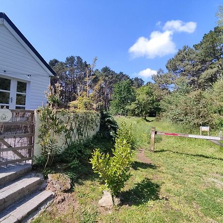 Chalet Cosy, Plages A Pieds. Morbihan. Plouhinec  Ngoại thất bức ảnh