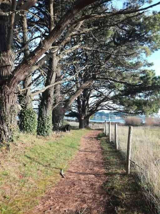 Chalet Cosy, Plages A Pieds. Morbihan. Plouhinec  Ngoại thất bức ảnh