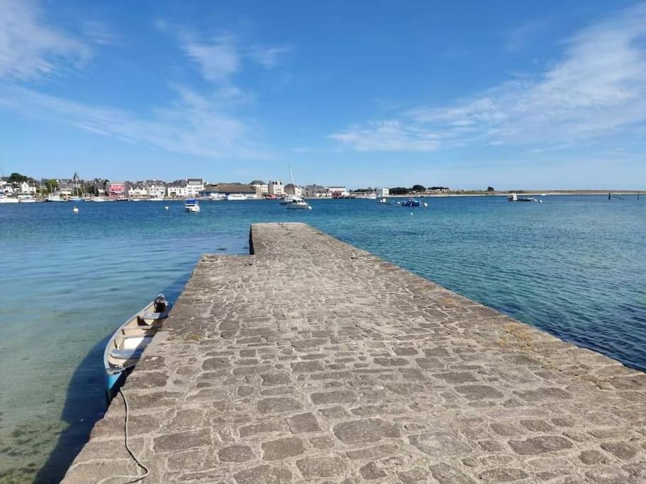 Chalet Cosy, Plages A Pieds. Morbihan. Plouhinec  Ngoại thất bức ảnh